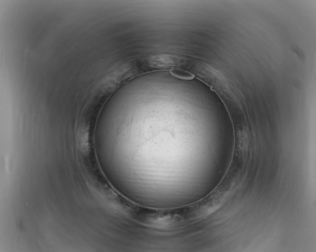X0000111600267200907231242