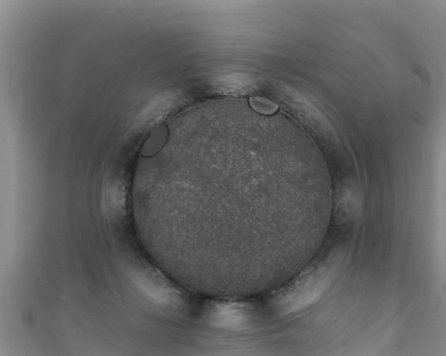 X0000111600268200907231242