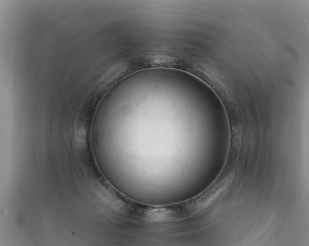 X0000111600269200907231242