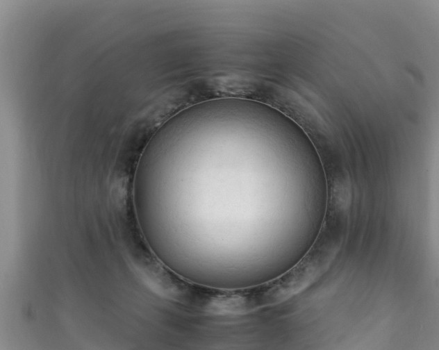 X0000111600271200907231242