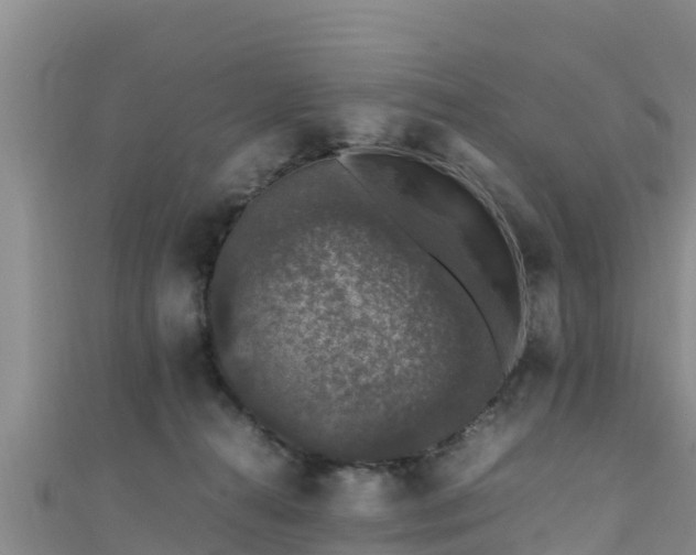 X0000111600272200907231242