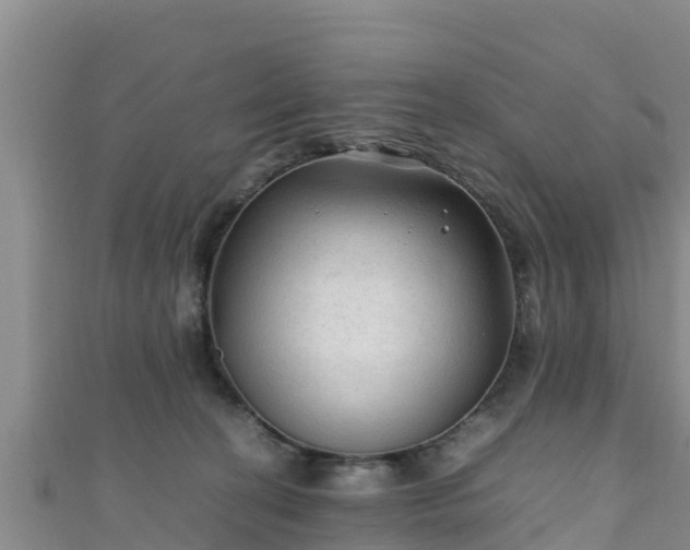 X0000111600274200907231242
