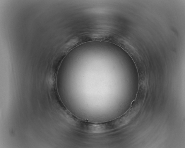 X0000111600277200907231242