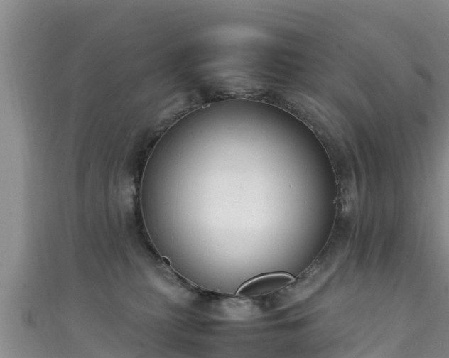 X0000111600279200907231242