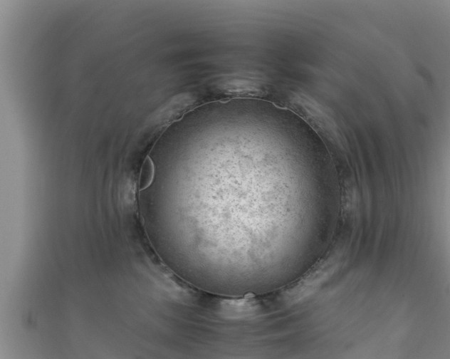 X0000111600281200907231242