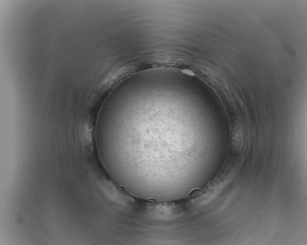 X0000111600282200907231242