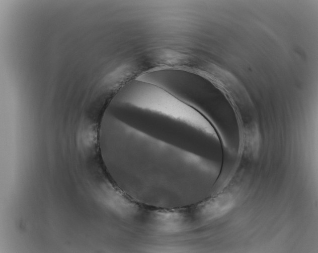 X0000111600284200907231242