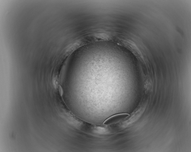 X0000111600285200907231242
