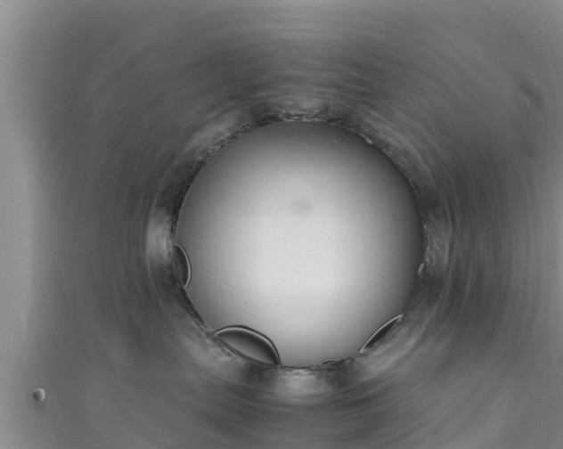 X0000111600287200907231242