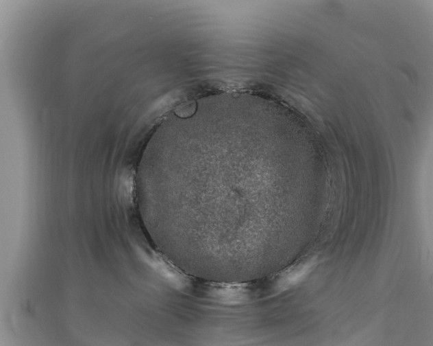 X0000111600288200907231242