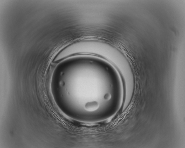 X0000111600289200907231242