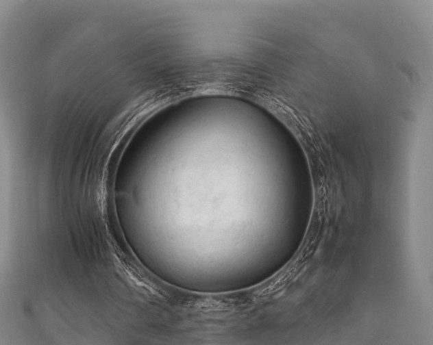 X0000111600290200907231242