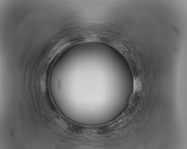 X0000111600291200907231242