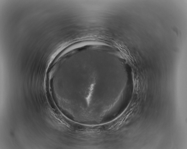 X0000111600292200907231241