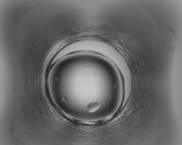 X0000111600293200907231241