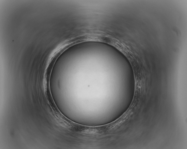 X0000111600294200907231241