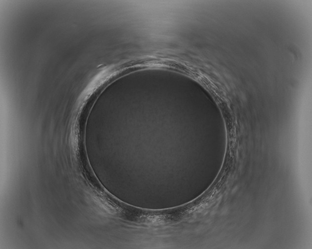 X0000111600295200907231241