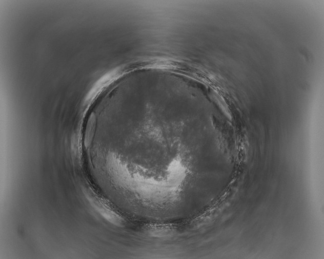 X0000111600296200907231241