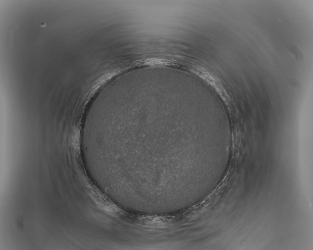 X0000111600297200907231241