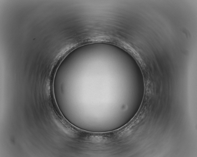 X0000111600298200907231241