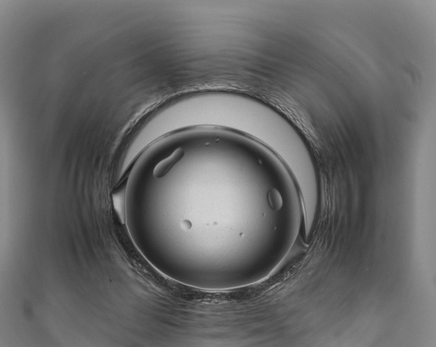 X0000111600300200907231241