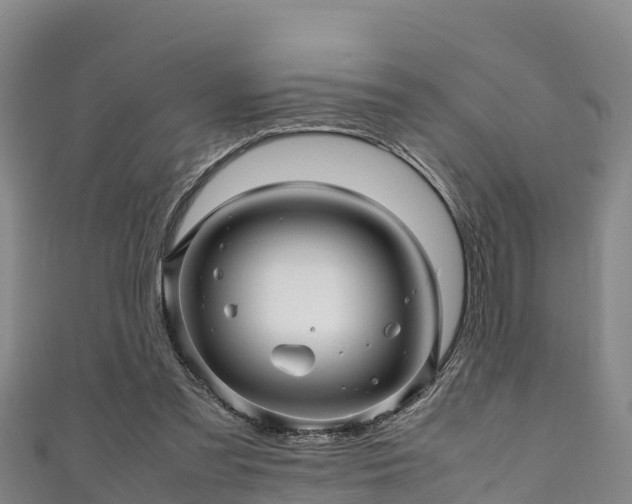 X0000111600301200907231241