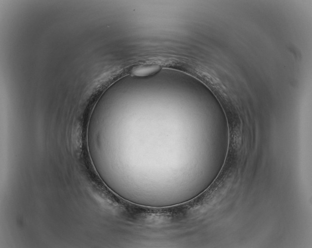 X0000111600303200907231241