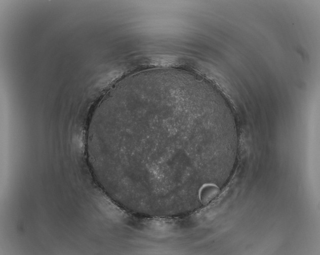 X0000111600305200907231241