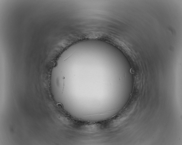 X0000111600307200907231241