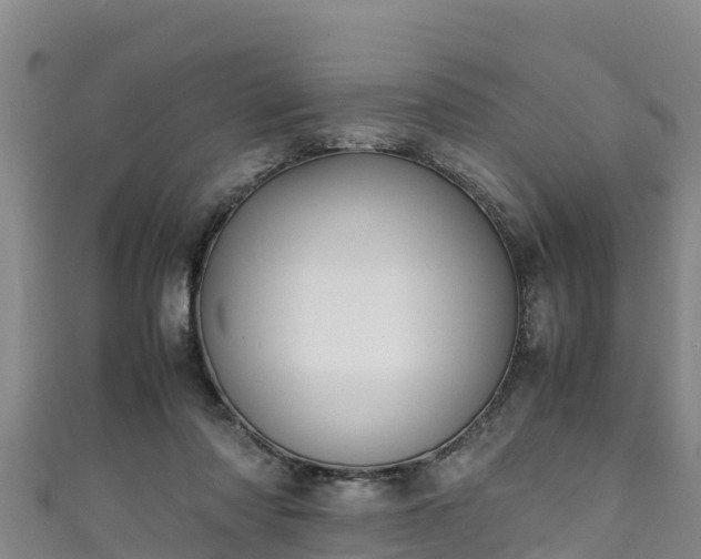 X0000111600310200907231241