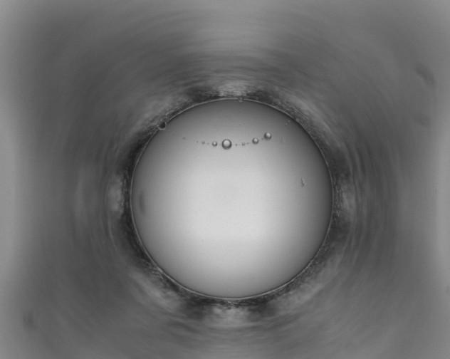 X0000111600311200907231241