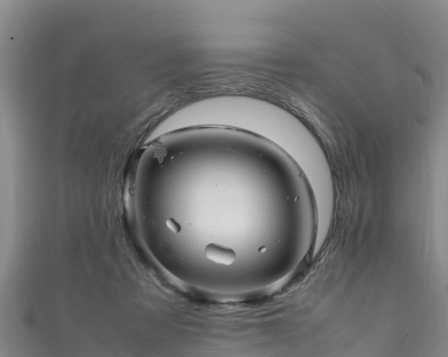 X0000111600313200907231241