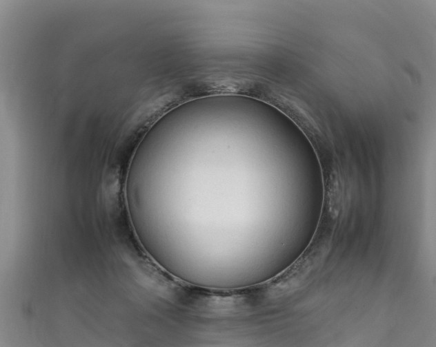X0000111600314200907231241