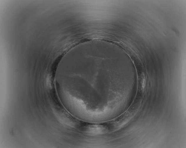 X0000111600316200907231241