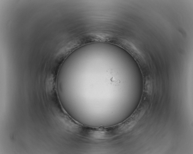 X0000111600318200907231241