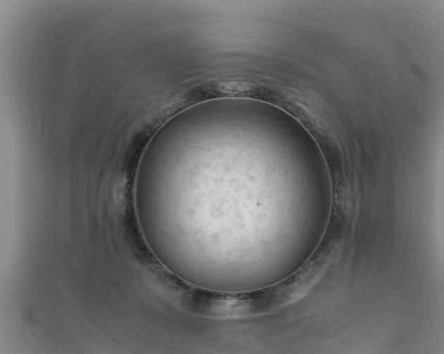 X0000111600319200907231241