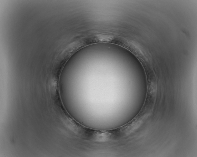 X0000111600321200907231241