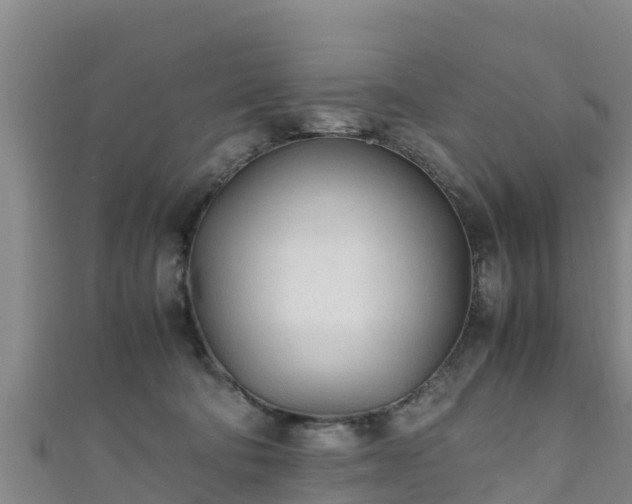 X0000111600322200907231241