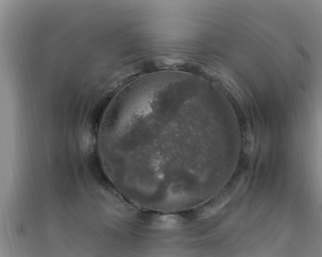 X0000111600324200907231241