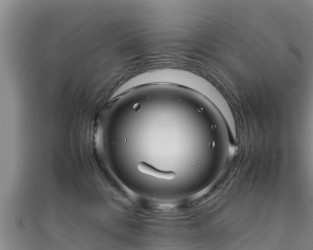 X0000111600328200907231241