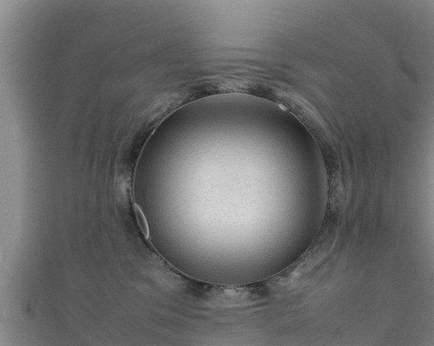 X0000111600329200907231241