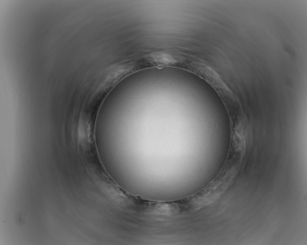 X0000111600330200907231241