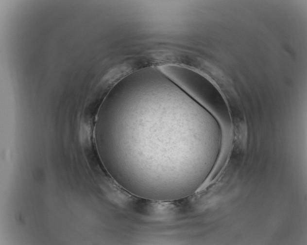 X0000111600333200907231241