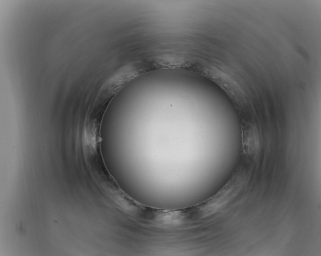 X0000111600334200907231241