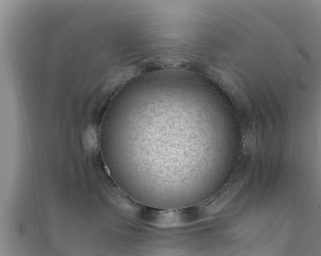 X0000111600335200907231241