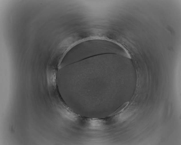 X0000111600336200907231241