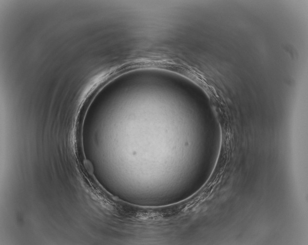X0000111600340200907231240