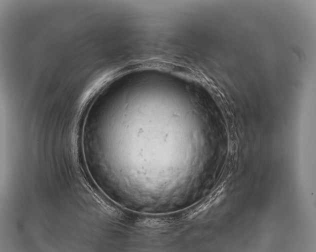 X0000111600341200907231240