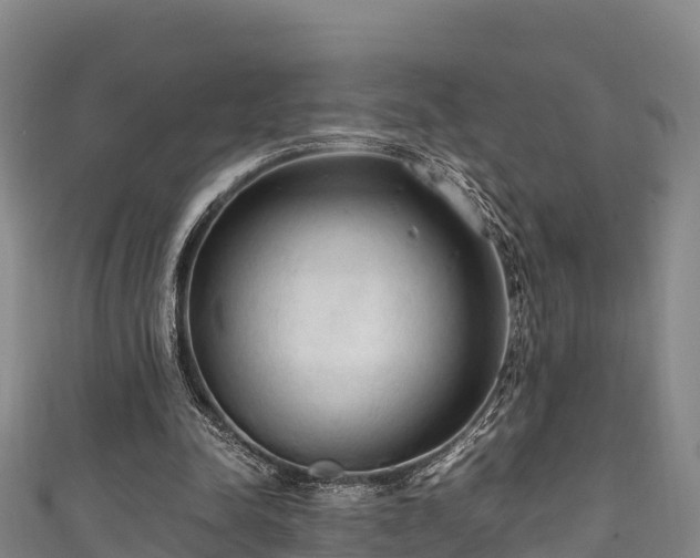 X0000111600342200907231240