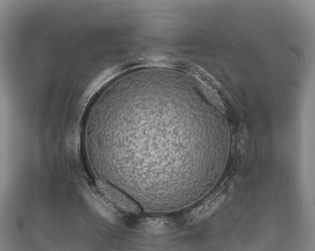 X0000111600344200907231240